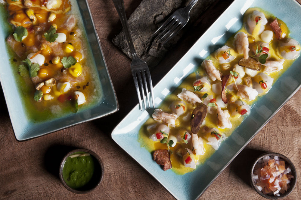 imperdibles de puerto varas 11