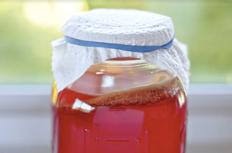 Kombucha