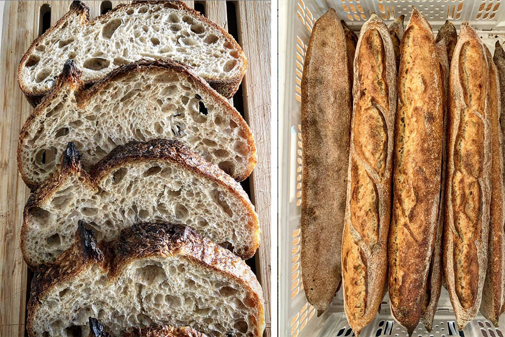 Delivery de selección