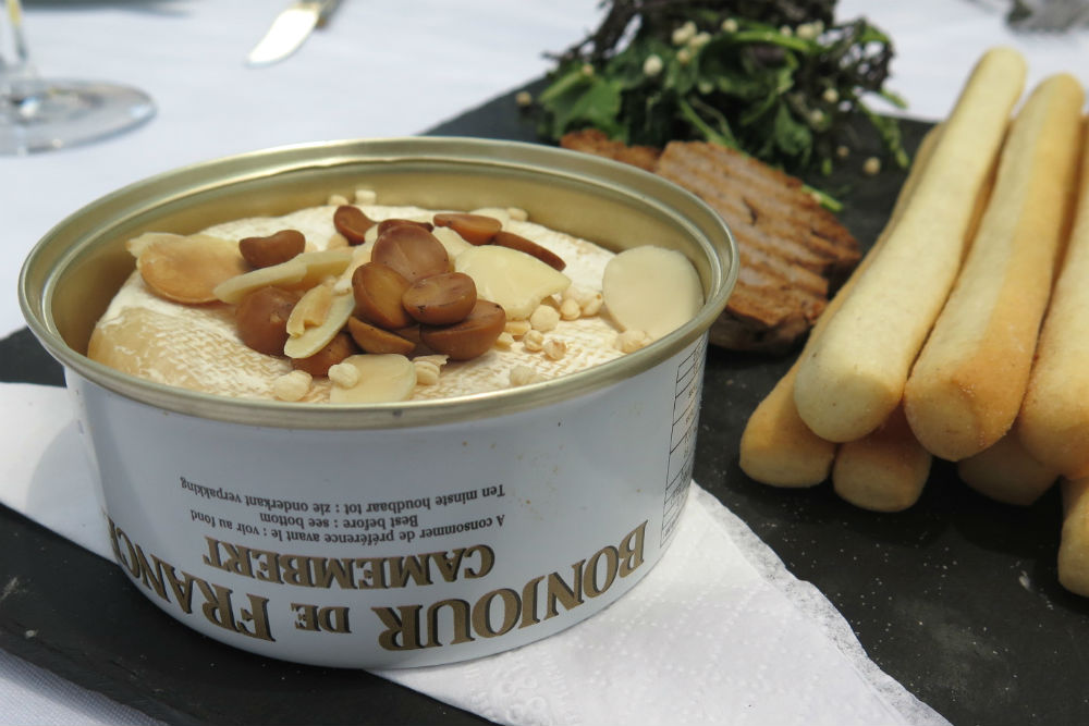 castillo forestal 11