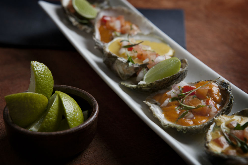 imperdibles de puerto varas 88