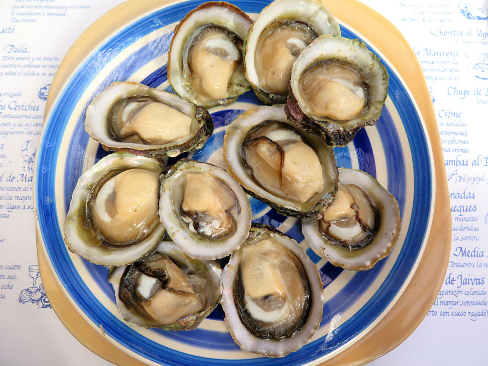 la tasca de altamar 2